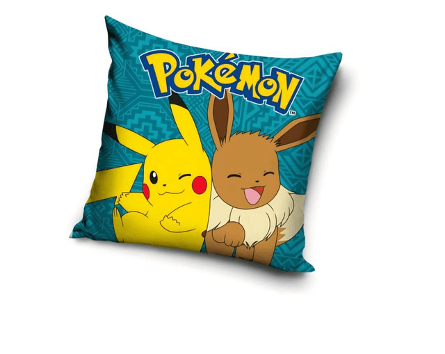 ✨️Coussin Pokémon 