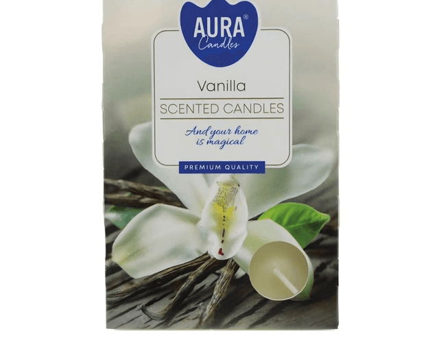 ✨️BOUGIES CHAUFFE PLAT VANILLE 
