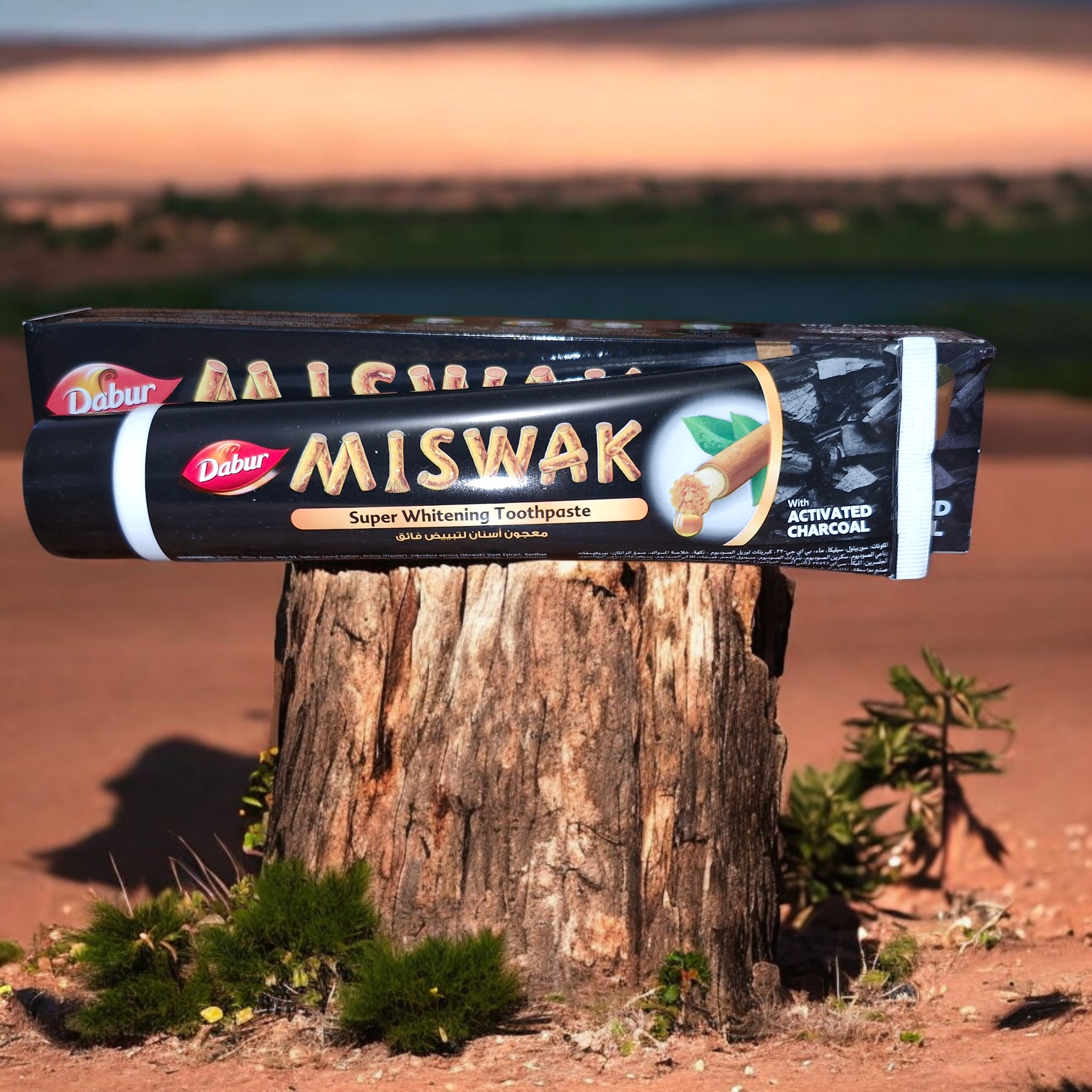 Dentifrice Miswak au charbon